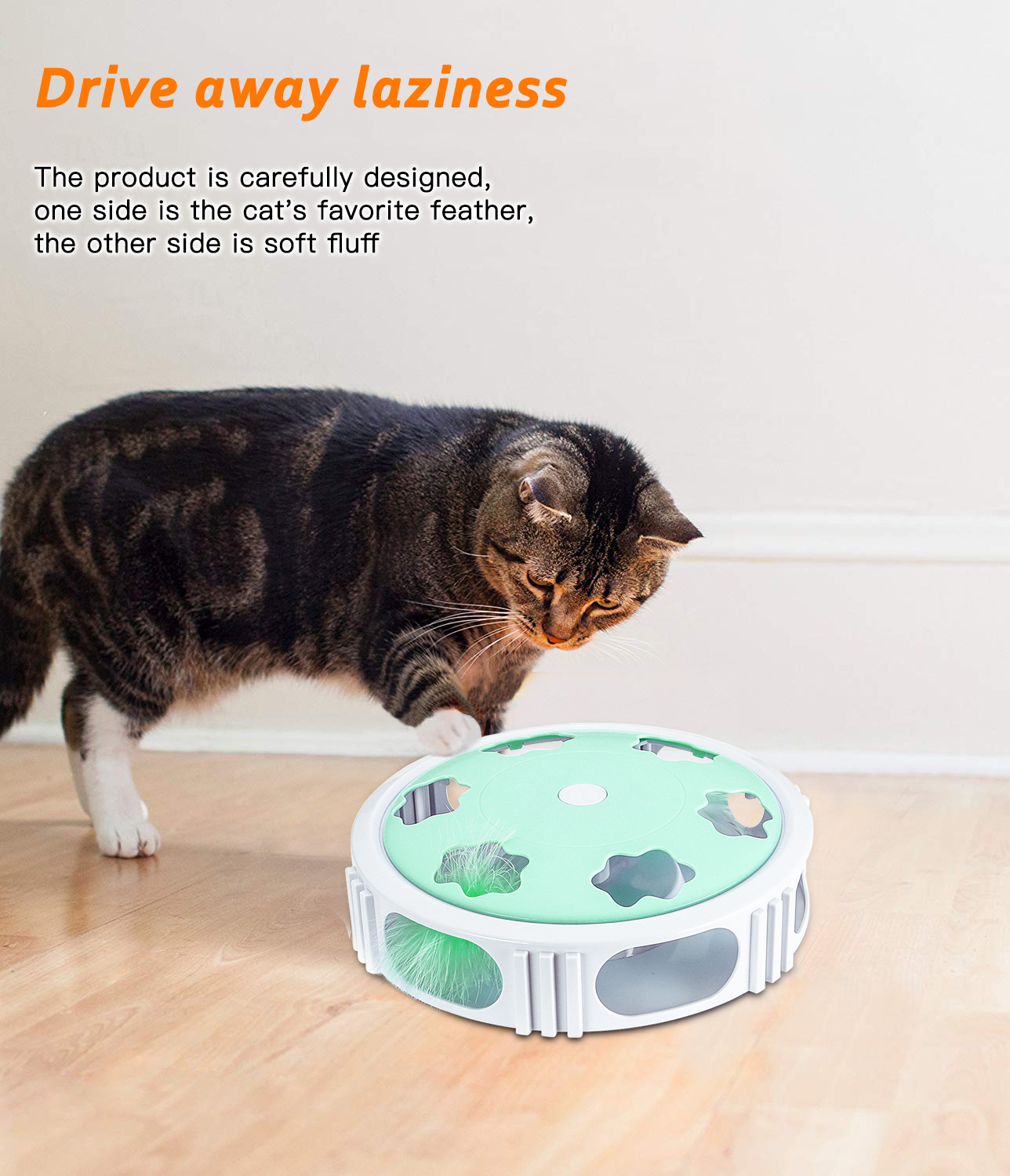 Cat Interactive Toys