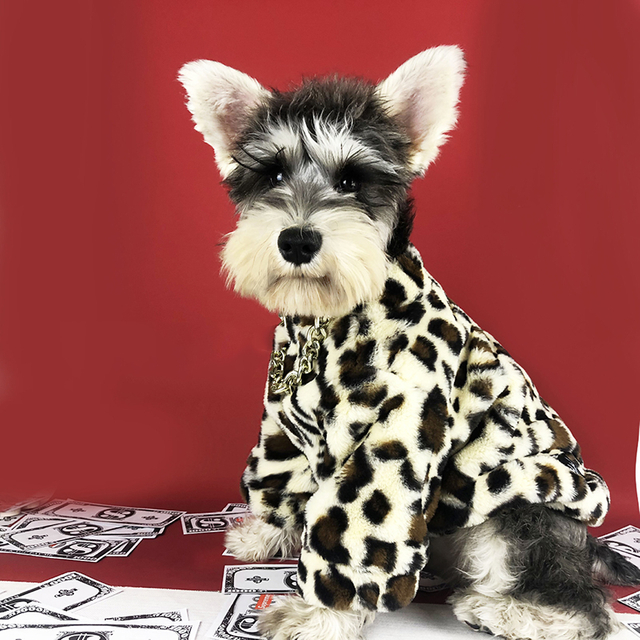 High Quality Winter Warm Dog Clothes Vendors Fashion Pet Clothes Print Pet Apparel Dog Winter Jacket