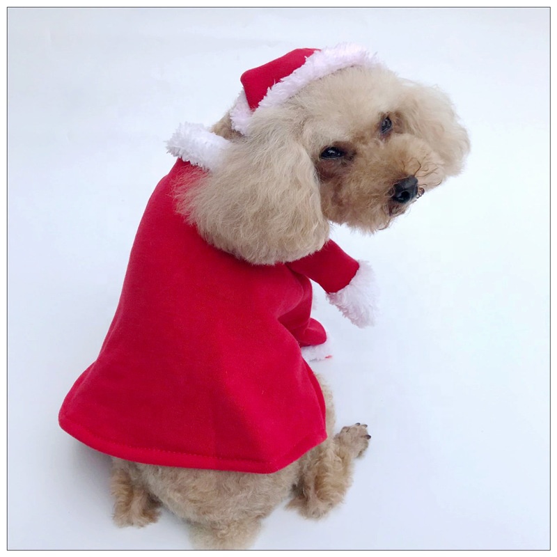 Christmas Clothes for Dogs