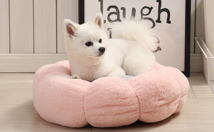 Custom Wholesale Dog Beds Dog Princess Bed Hot Seller New Design