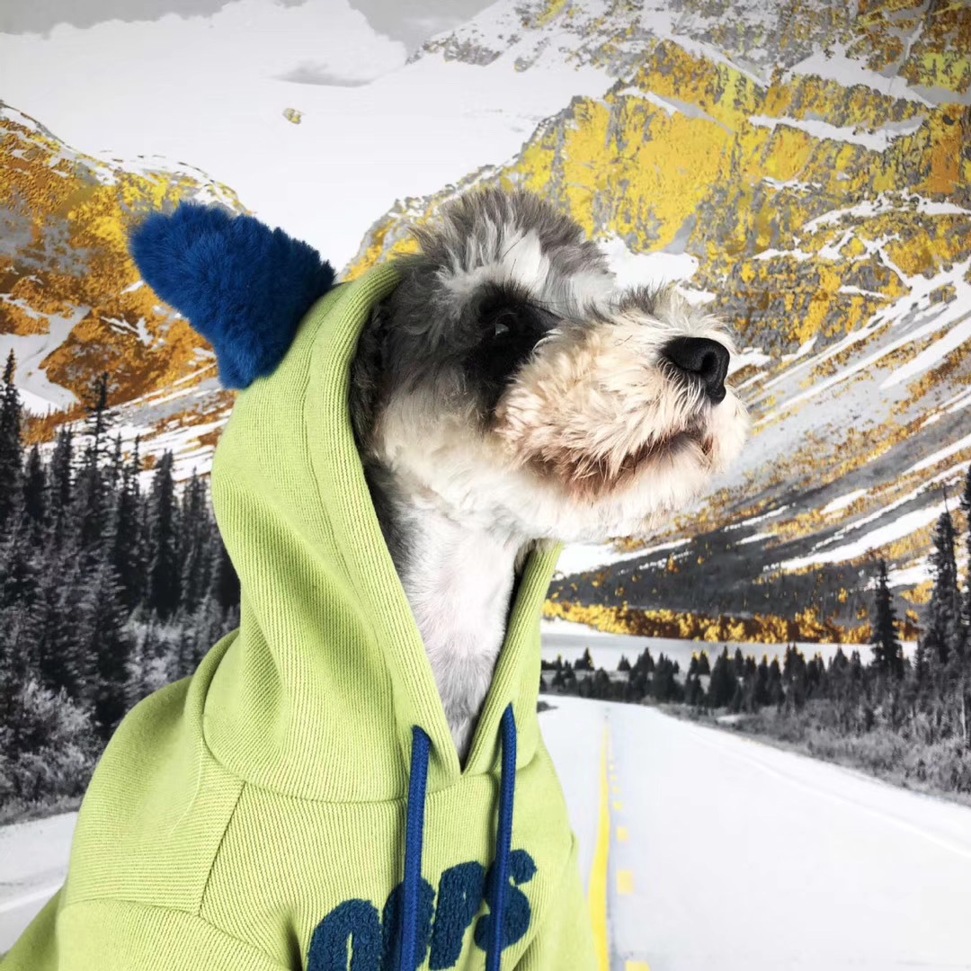 Wholesale Warm Designer Dog Winter Jacket